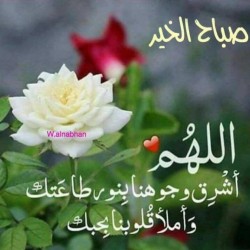 صورة Aliali