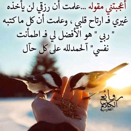 صورة Hassan