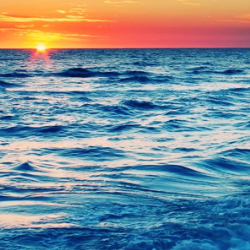 صورة abd