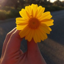صورة رؤى