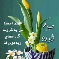 صورة عبدالله37