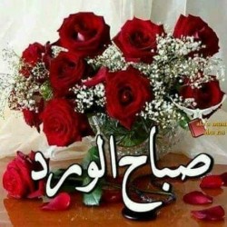 صورة الحلال9999