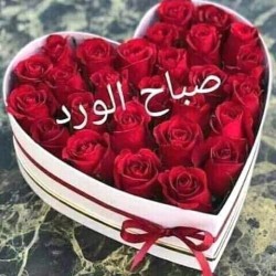 صورة Lina