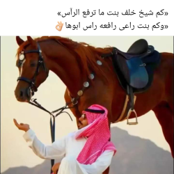 صورة خالد12142