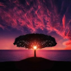 صورة khaledlovu