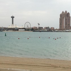 صورة Honey2024