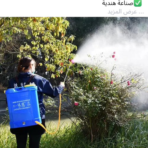 صورة المسامح, رجل