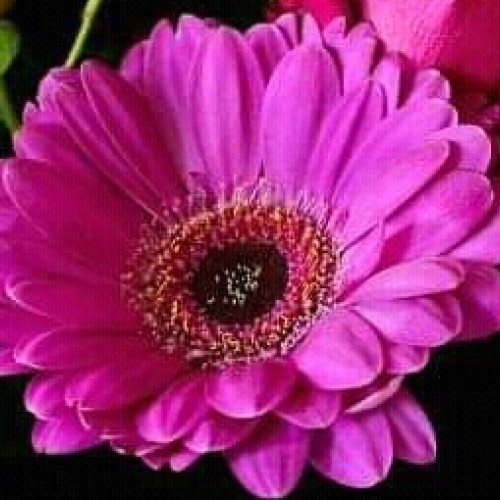 صورة النهر